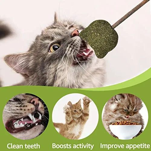 (12Pack) Catnip Toys, Silvervine Cat Toy, Cat Toys for Indoor Cats, Silvervine Sticks,Catnip Balls, Cat Nip Mice,Silver Vine Organic Chew Toys, Kitten Teething Toys,Interactive Plush Feather Kicker