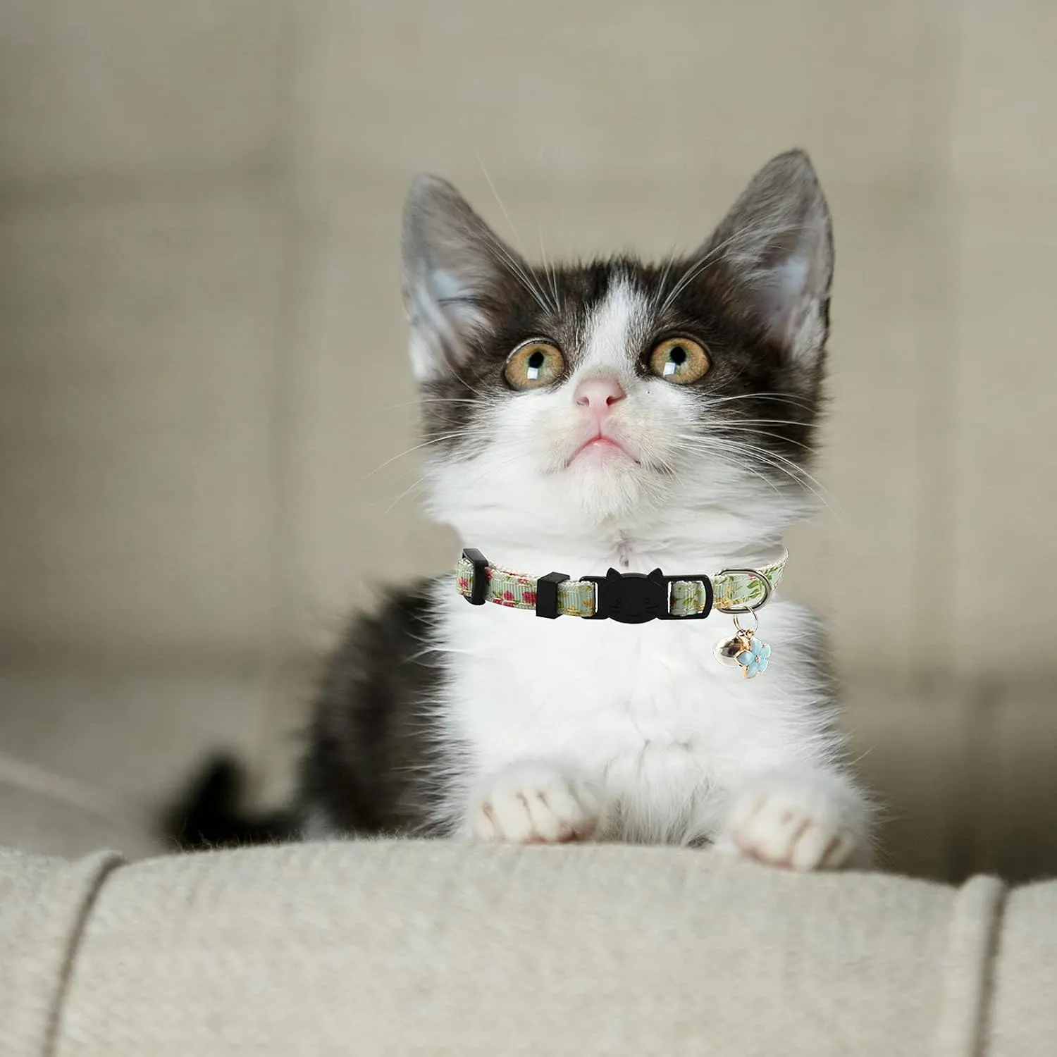 3 Pack Breakaway Cat Collars with Bell and Accessories, Flower Pattern Adjustable Cute Kitten Collars Floral for Kitty Puppy 7.5-11in