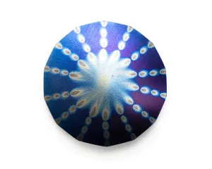 5G  House Plate