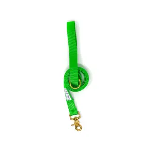 6 ft Leash - Bright Green
