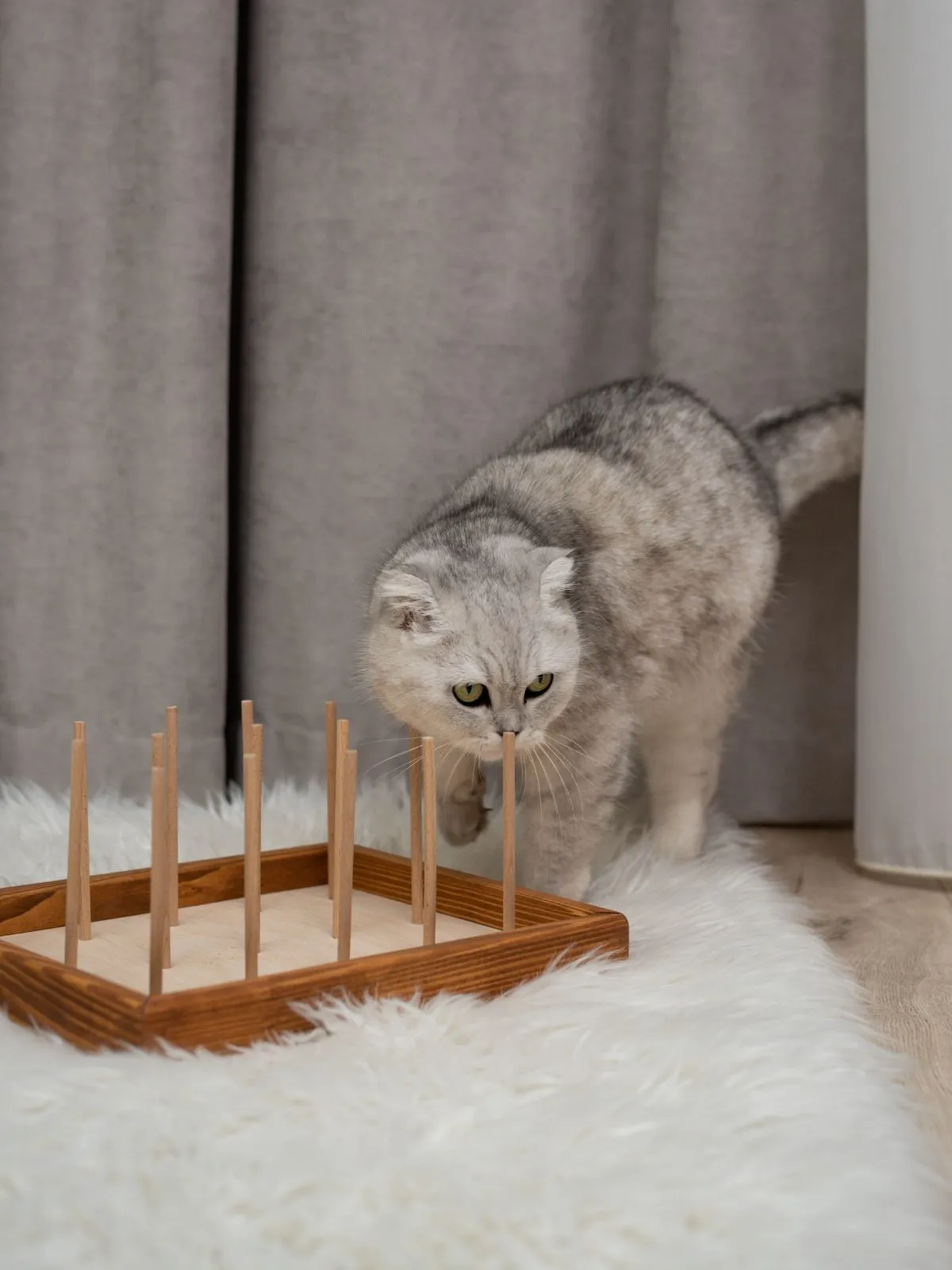 Biting Toy for Cats