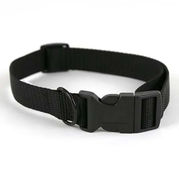 Black Dog Collar