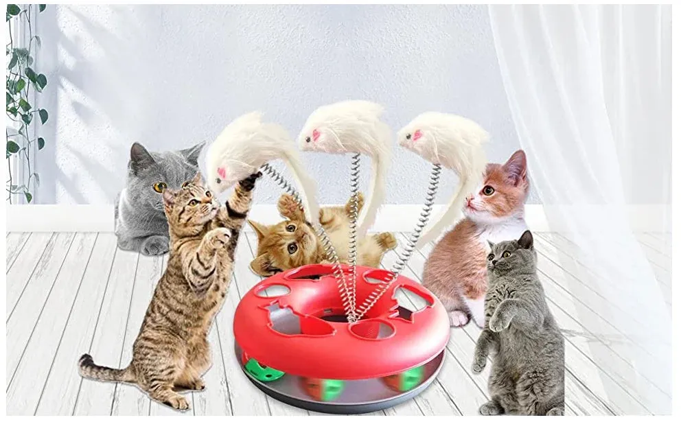 Cat Toy for Indoor Cats Interactive Toys Roller Tracks with Catnip