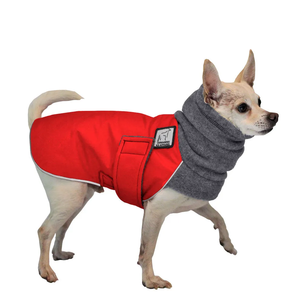 Chihuahua Winter Coat
