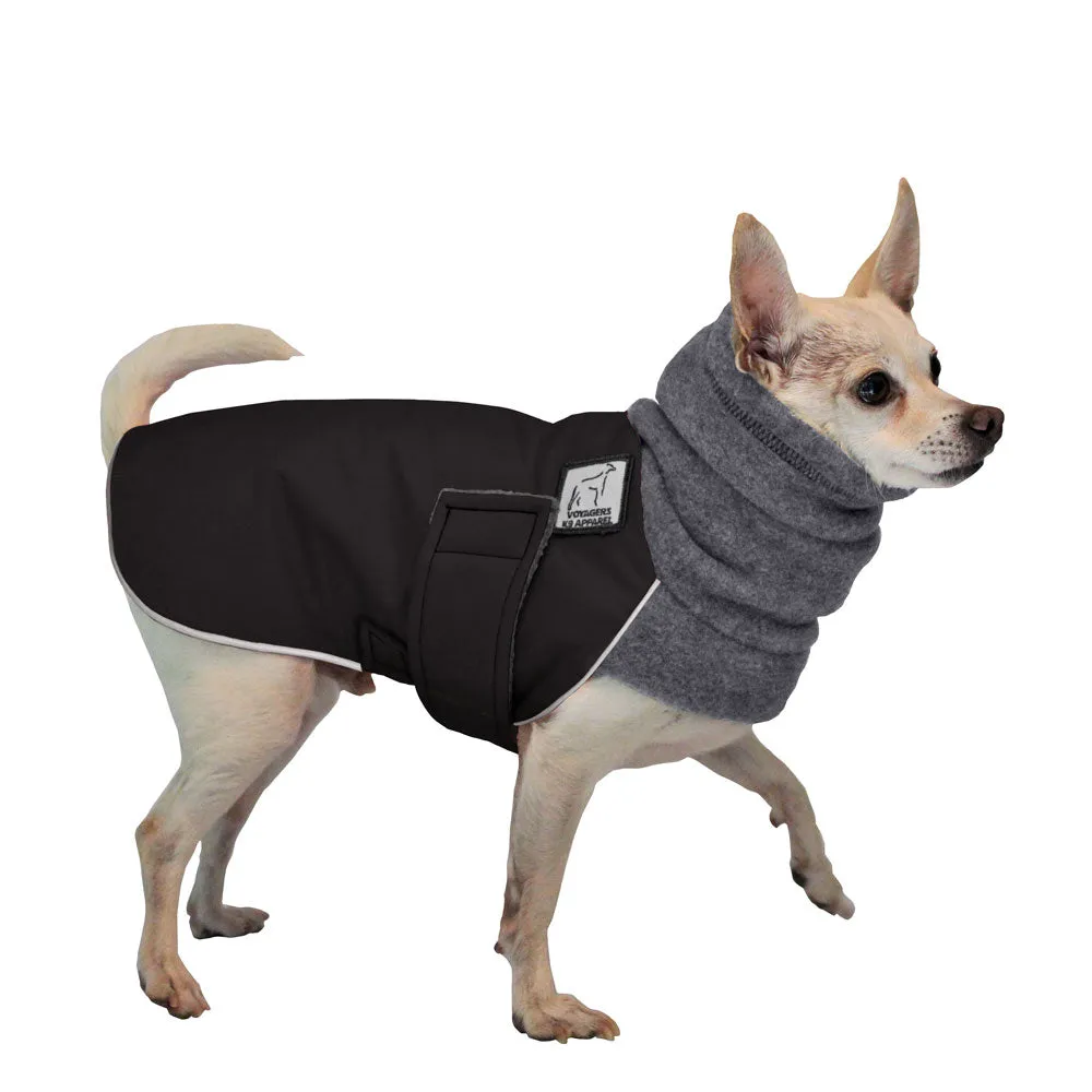 Chihuahua Winter Coat