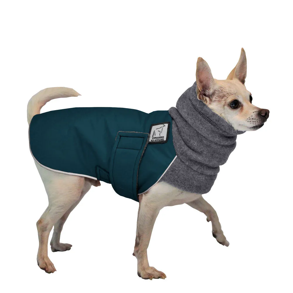 Chihuahua Winter Coat