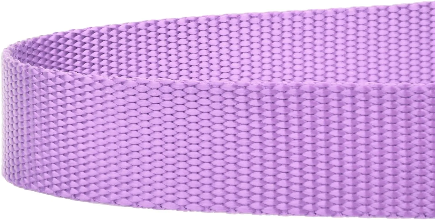 Country Brook Petz 1" Wide Heavy-Duty Nylon Leash for Dogs - Traditional Style Durable Leash with Easy-to-Use Snap - Made in The USA, Lavender, 6 Foot