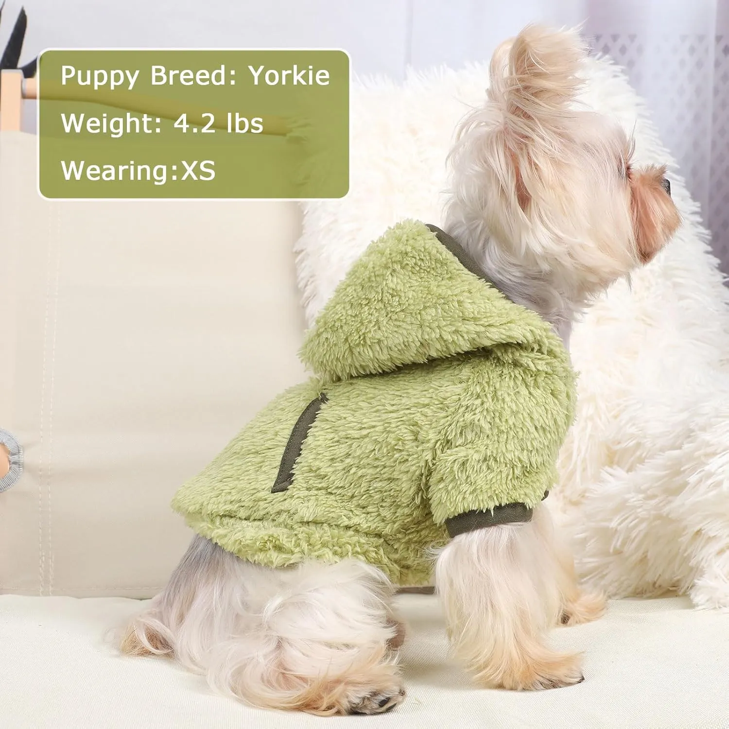 Dog Sweater Spring Dog Clothes for Small Dogs Boy Girl Pet Hoodies for Dogs Coats Dog Sweatshirt for Chihuahua Yorkie Cat Sweater Dog Costumes, Small, Green