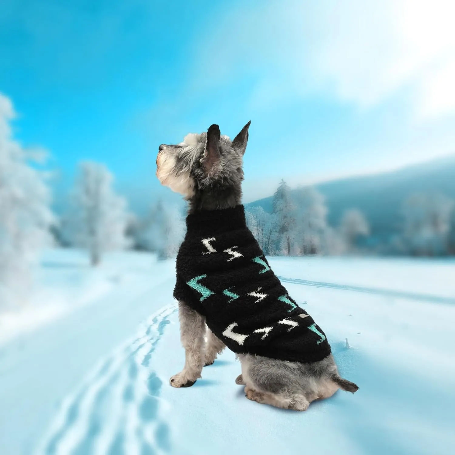 Dog Sweaters for Small Dogs Boy Girl Dog Pullover Sweater Dog Clothes Cold Weather Cable Knitwear Thick Warm Outfits for Medium Dogs (Black-M)