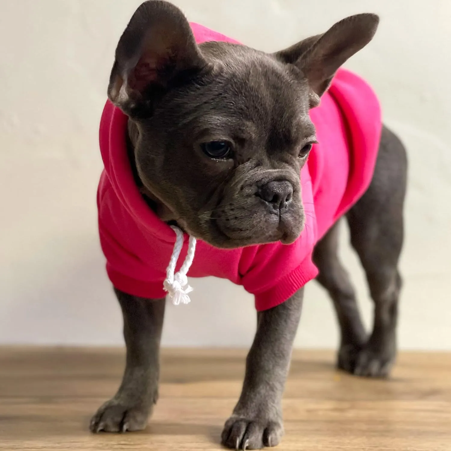 Free Kisses Dog Hoodie Fleece Lined Pullover Sweatshirt with Leash Hole (Hot Pink, 6X-Large 727)