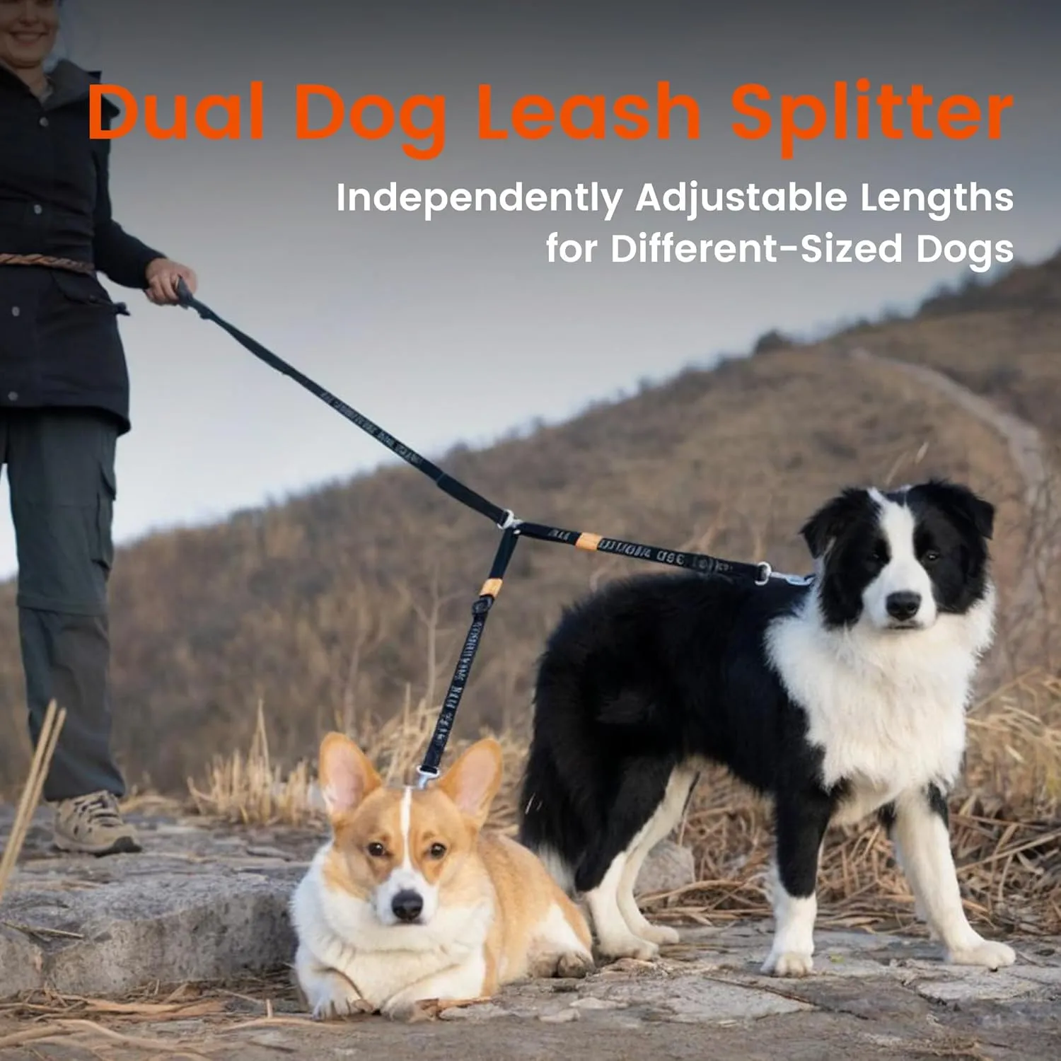 HOWGO Double Dog Leash, No Tangle 360 Swivel, Adjustable Two Padded Handles, Double Clip Dog Leash Coupler Splitter for Small and Medium Breeds (Orange, 2/3'' x 4.8 FT)