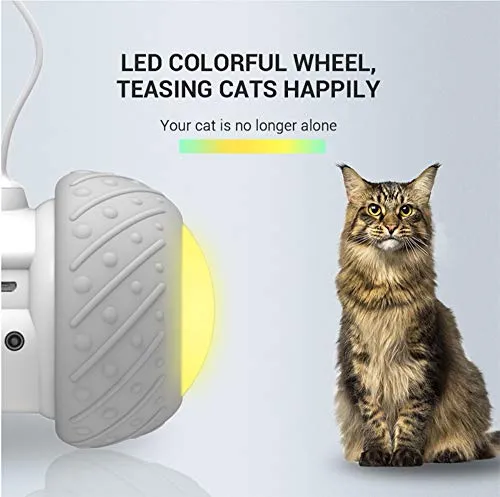Interactive Robotic Cat Toys,Automatic Irregular USB Charging 360 Degree Self Rotating Ball,Automatic Feathers/Birds/Mouse Toys for Cats/Kitten,Build-in Spinning Led Light，Large Capacity Battery