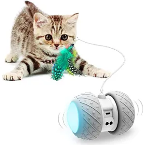 Interactive Robotic Cat Toys,Automatic Irregular USB Charging 360 Degree Self Rotating Ball,Automatic Feathers/Birds/Mouse Toys for Cats/Kitten,Build-in Spinning Led Light，Large Capacity Battery