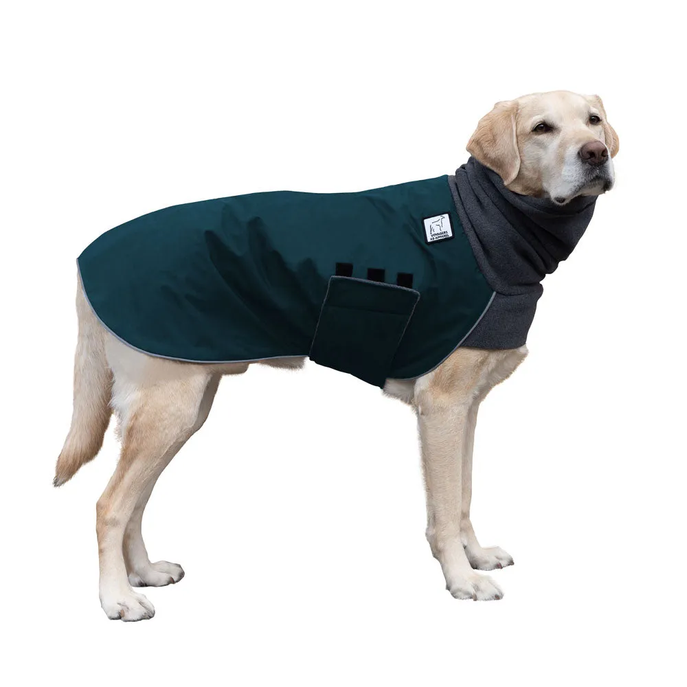 Labrador Retriever Winter Coat