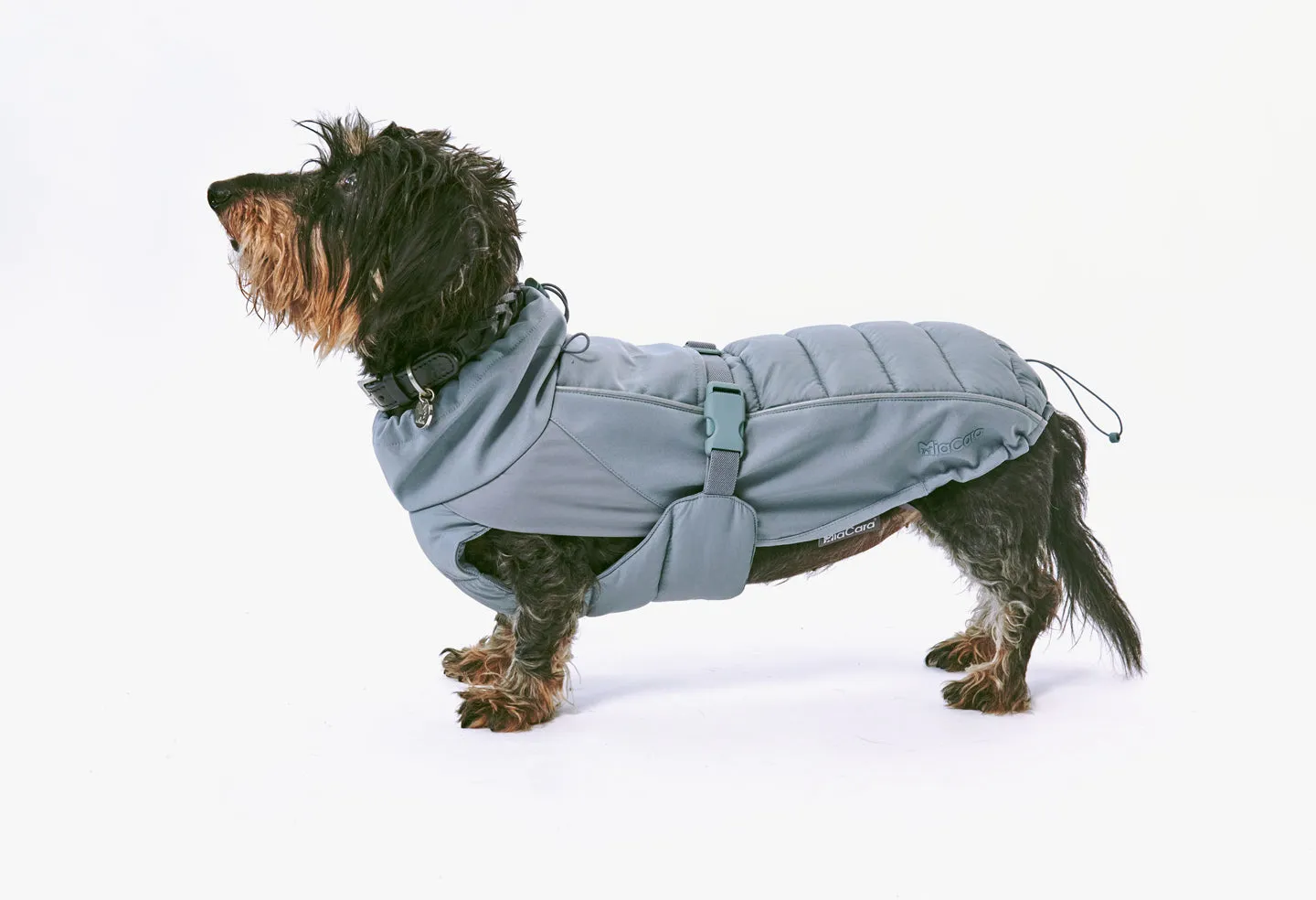 Miacara Stefano Winter Dog Coat - Slate