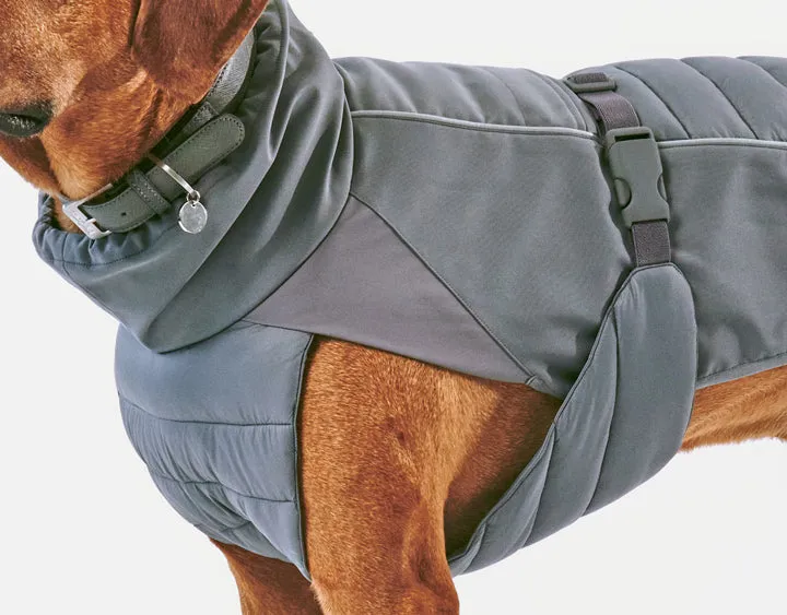 Miacara Stefano Winter Dog Coat - Slate