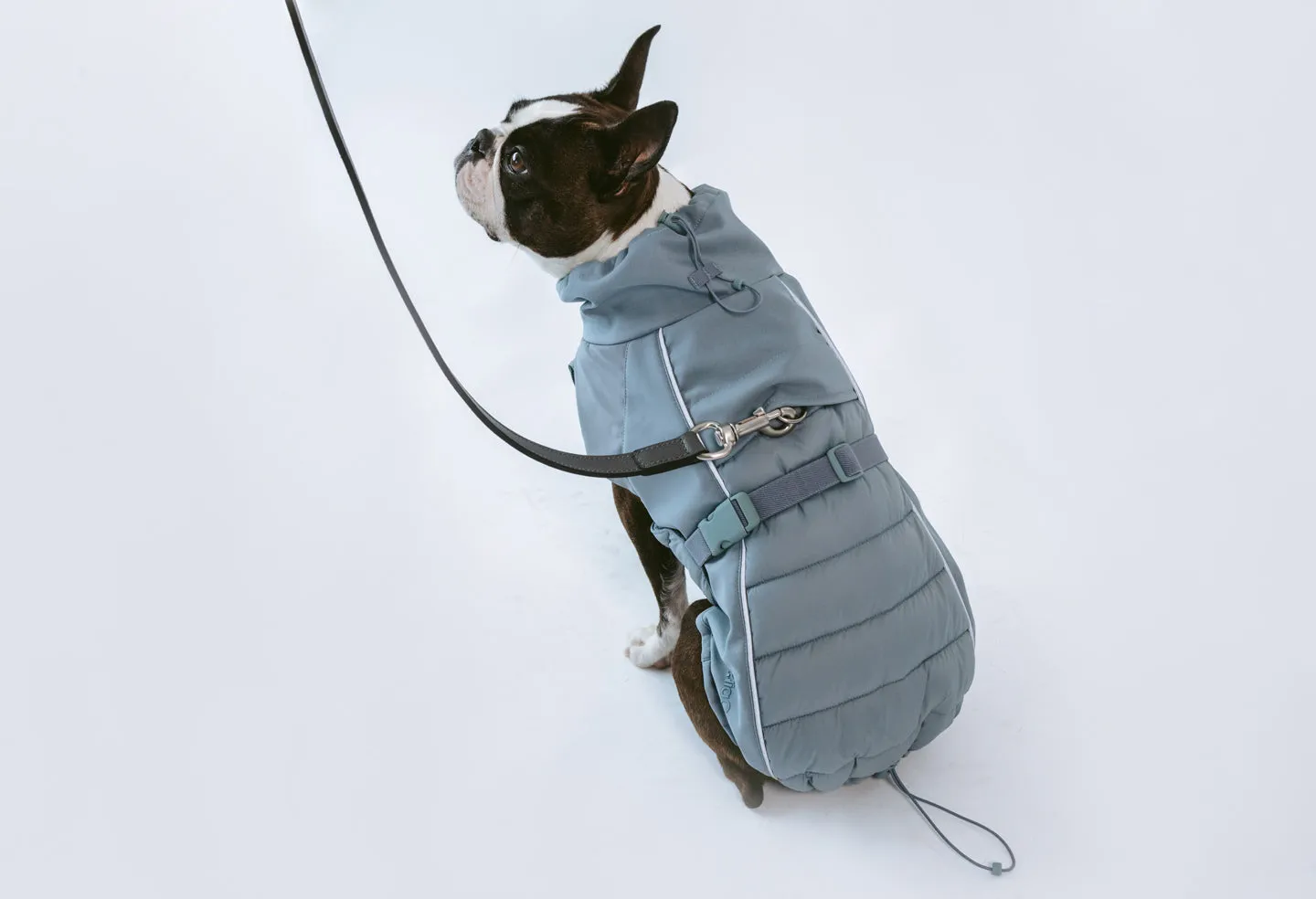 Miacara Stefano Winter Dog Coat - Slate