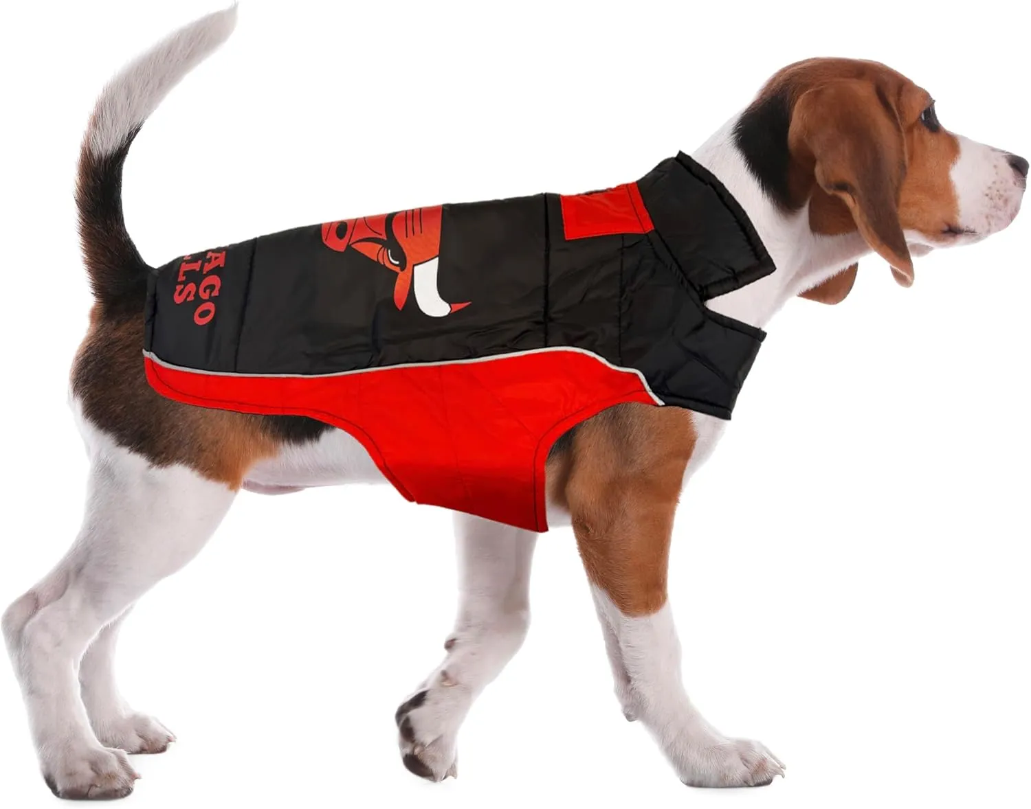 NBA Chicago Bulls Puffer Vest for Dogs & Cats, Size Small. Warm, Cozy, and Waterproof Dog Coat, for Small and Large Dogs/Cats. Best NBA Licensed PET Warming Sports Jacket