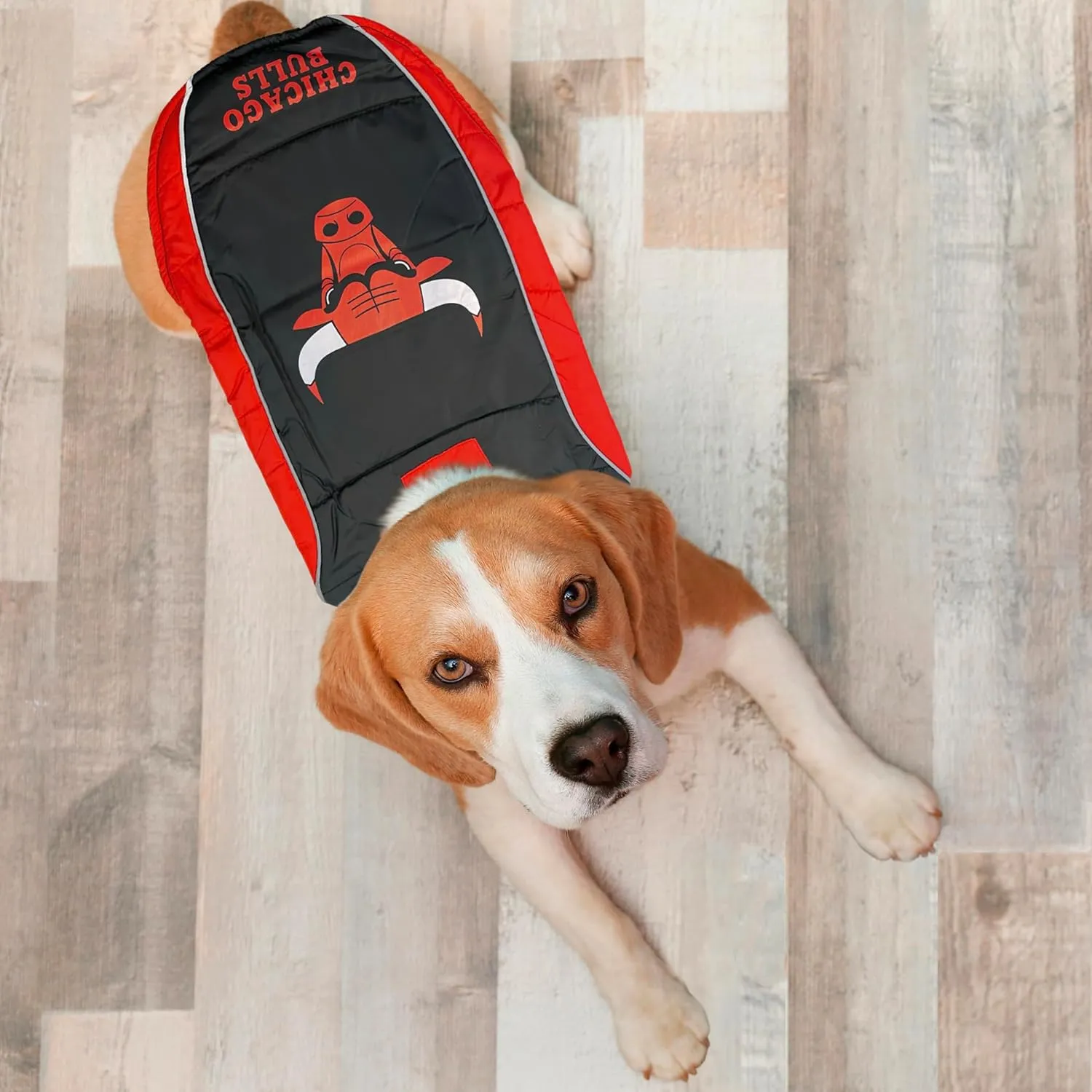 NBA Chicago Bulls Puffer Vest for Dogs & Cats, Size Small. Warm, Cozy, and Waterproof Dog Coat, for Small and Large Dogs/Cats. Best NBA Licensed PET Warming Sports Jacket