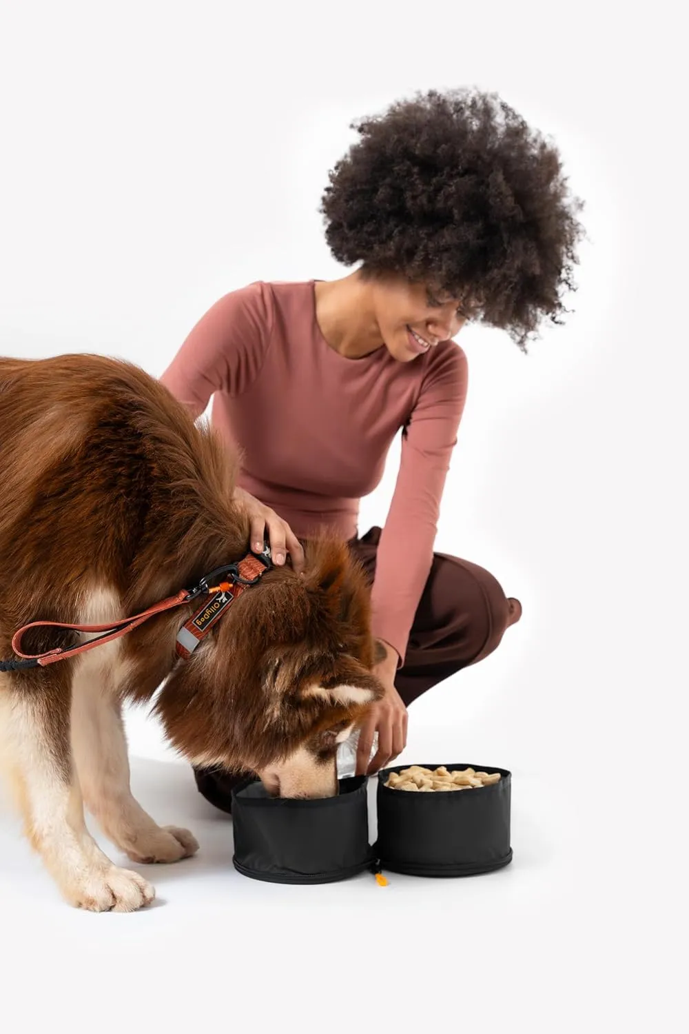 OllyDog Superbowl | Collapsible Dog Travel Bowl | 2 Compartment Food & Water | Foldable| Portable Dog Bowl | Hiking, Camping (Raven)