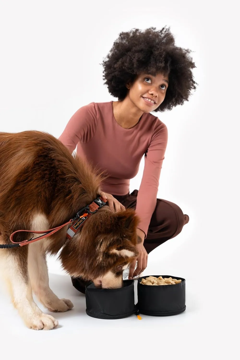 OllyDog Superbowl | Collapsible Dog Travel Bowl | 2 Compartment Food & Water | Foldable| Portable Dog Bowl | Hiking, Camping (Raven)