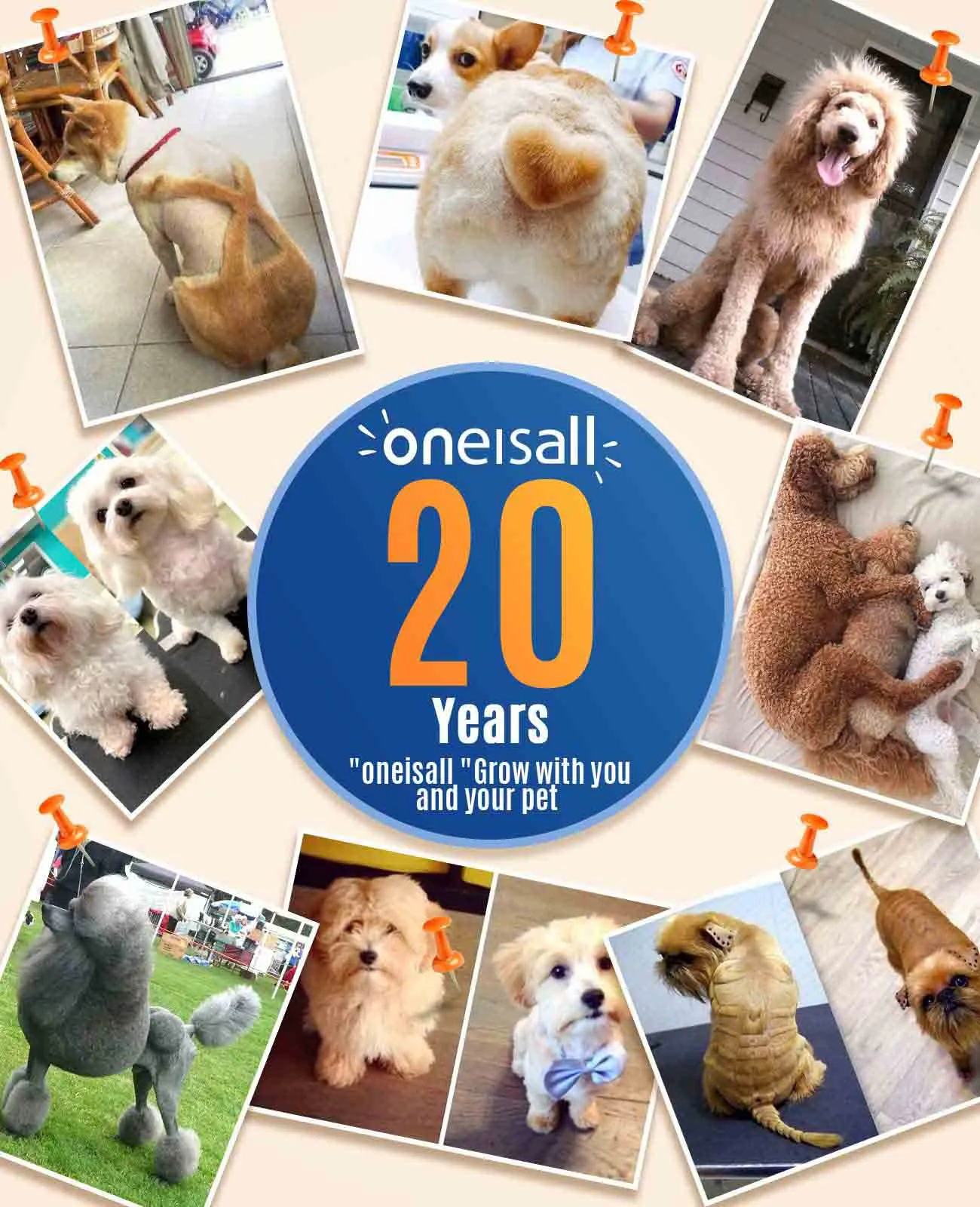 Oneisall N5 Dog Clipper with Double Blades Dog Paw Trimmer