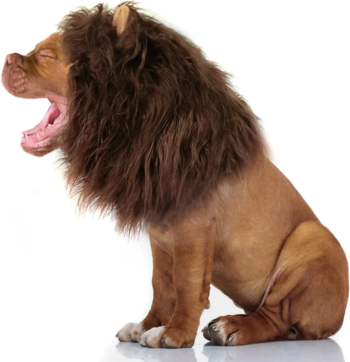 Onmygogo Lion Mane Wig for Dogs with Ears, Funny Pet Costumes for Halloween Christmas (Size L, Coffee)