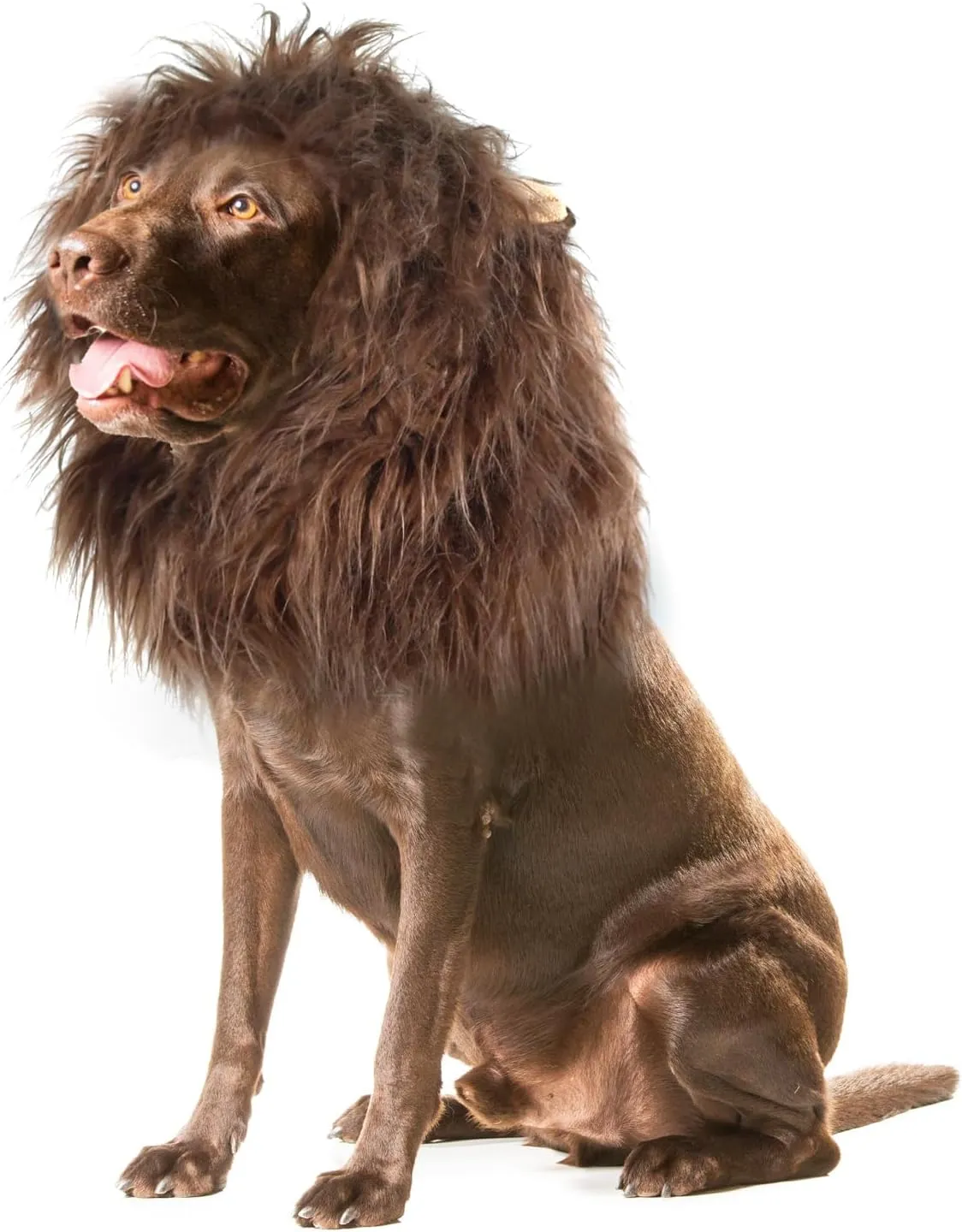 Onmygogo Lion Mane Wig for Dogs with Ears, Funny Pet Costumes for Halloween Christmas (Size L, Coffee)