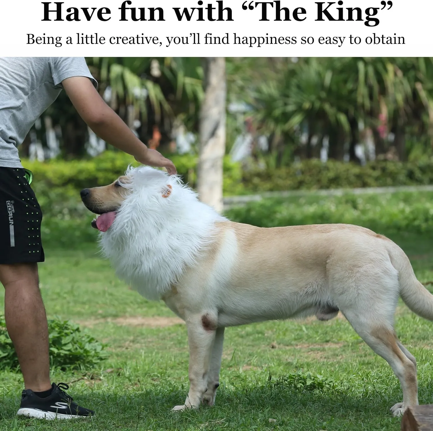 Onmygogo Lion Mane Wig for Dogs with Ears, Funny Pet Costumes for Halloween Christmas (Size M, White)