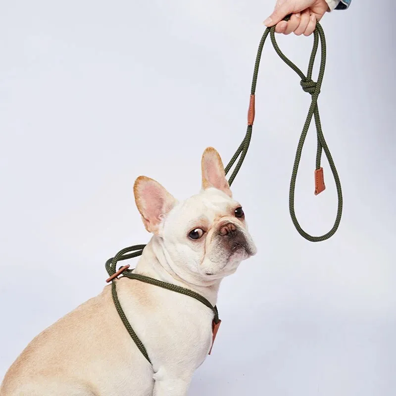 PawPilot Frenchie Collar Leashes All-in-one Harnesses Adjustable Walking Rope