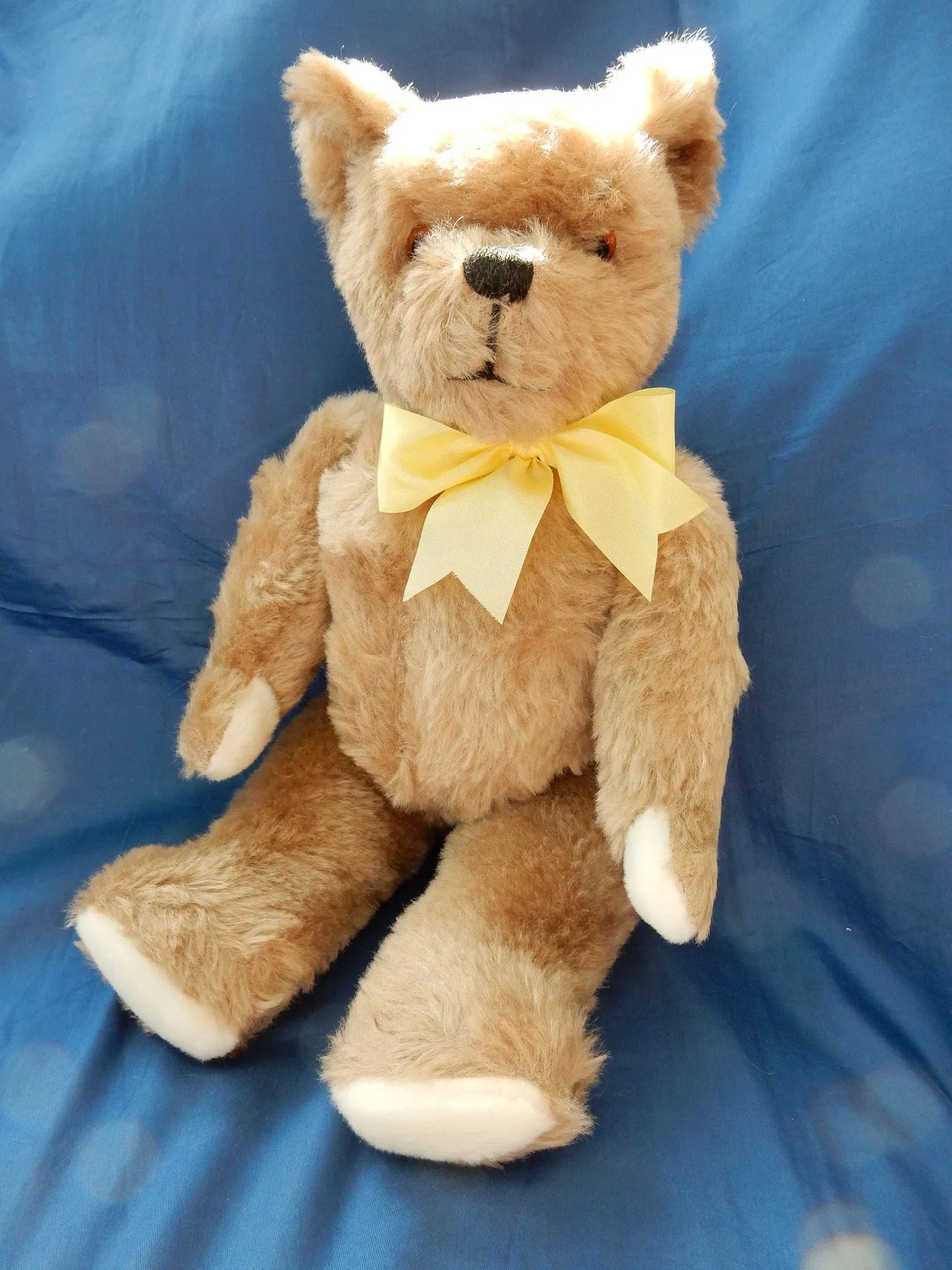 Pedigree (1950) Label Smokey £70