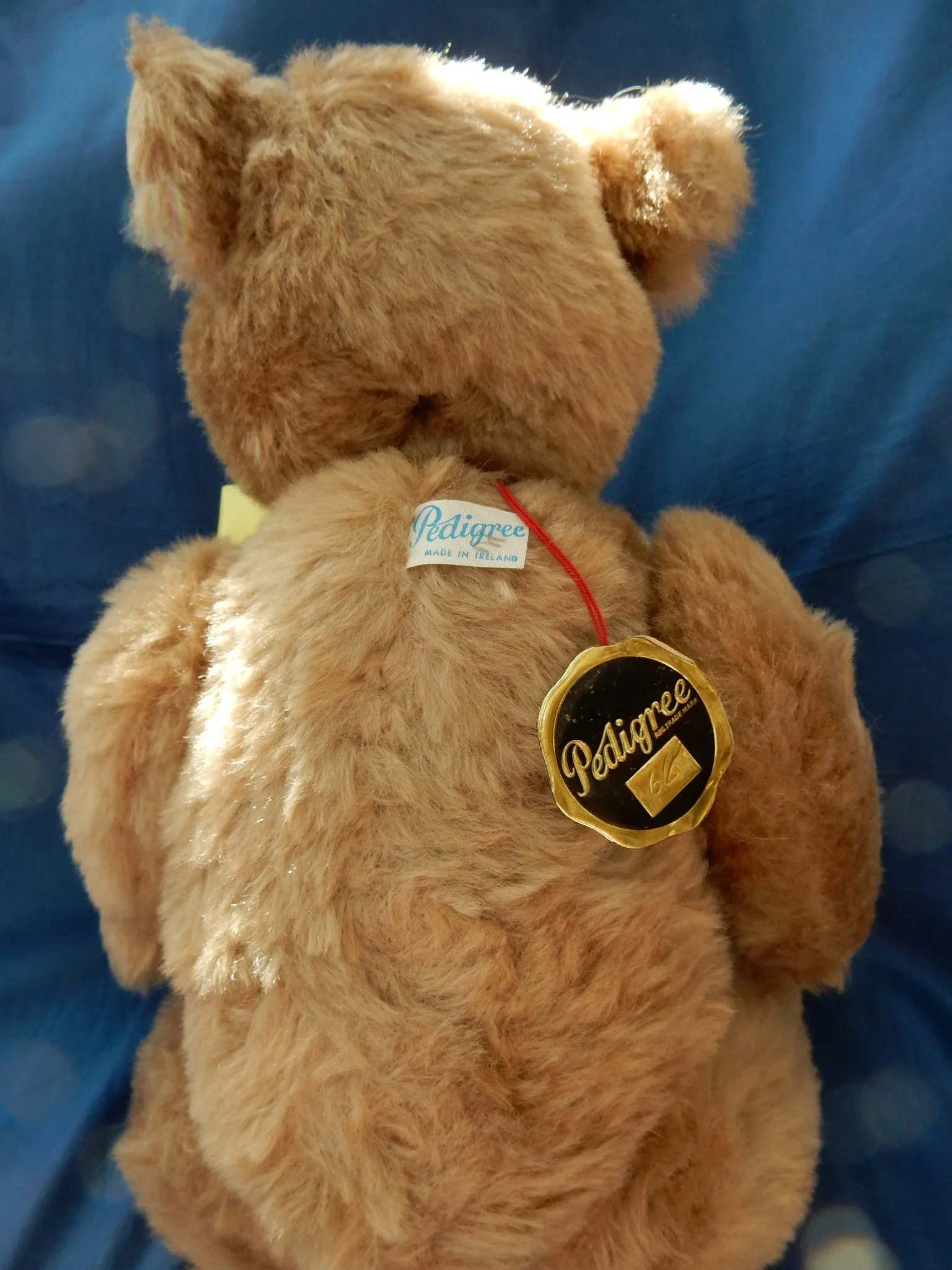 Pedigree (1950) Label Smokey £70