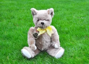 Pedigree (1950) Label Smokey £70