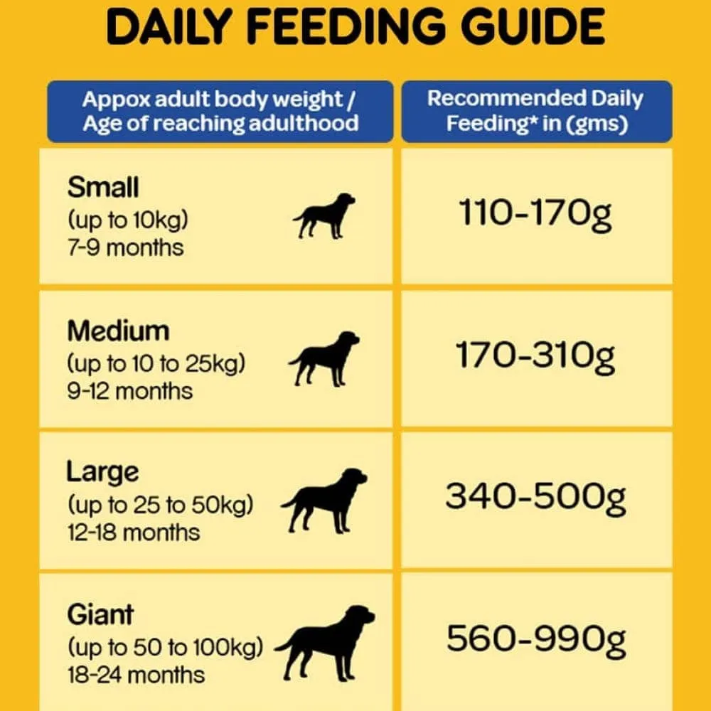 Pedigree Chicken & Liver Chunks in Gravy Pouch Adult Wet Food and Chicken & Vegetables Adult Dog Dry Food Combo