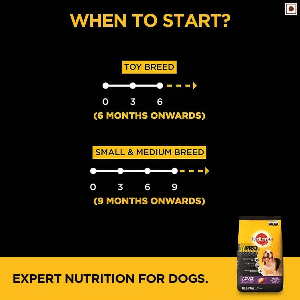 Pedigree PRO Dry Food for Small Breed and Dentastix Oral Care Adult Dog Treats Combo