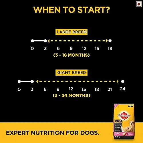 Pedigree PRO Expert Nutrition Large Breed Puppy (3-18 Months), Dry Dog Food, 10kg Pack Flavour : chicken