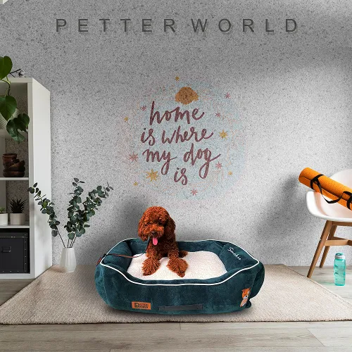 Petter World Ultra Luxury Micro Lounger Bed With Removable Sherpa for Dogs (Green)