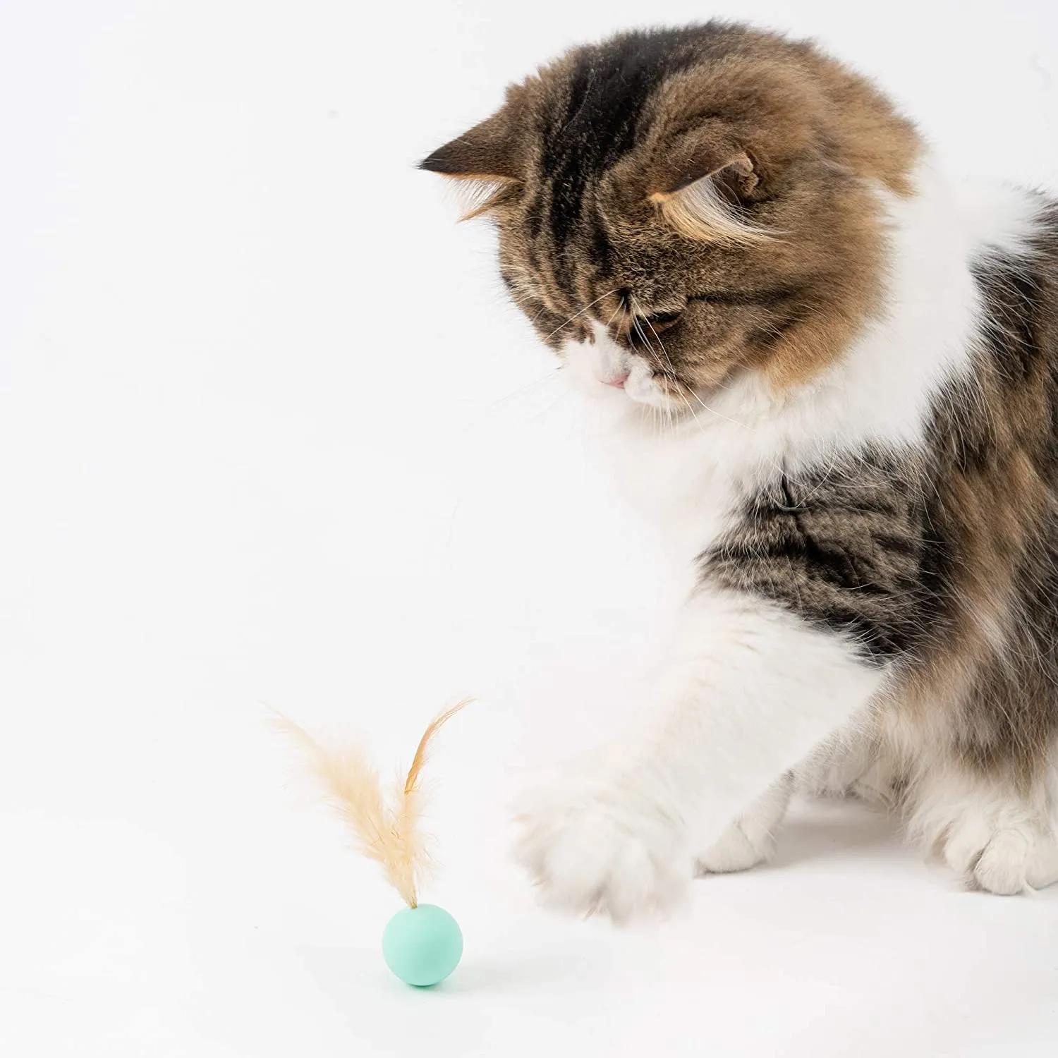 Pidan Cat Balls Toy with Feathers (3PCS)