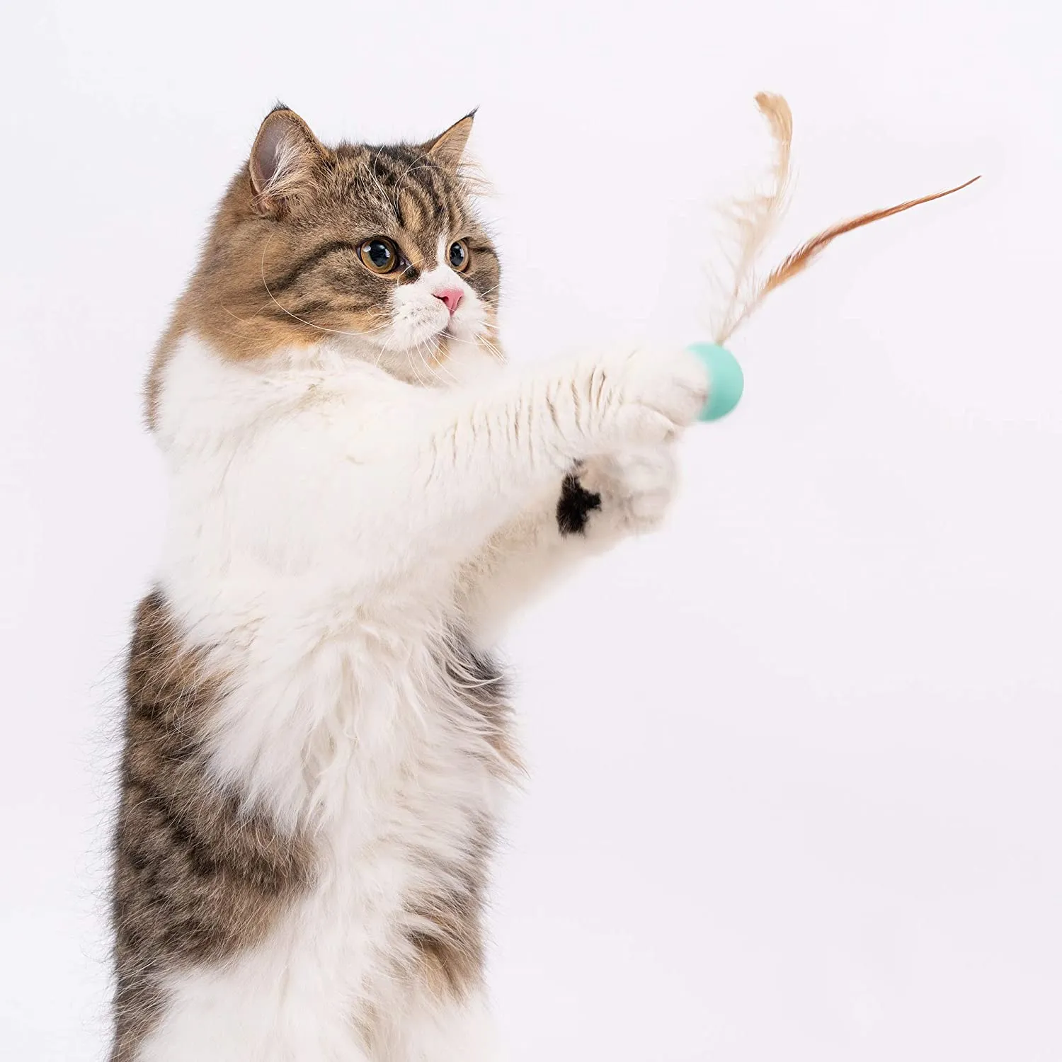 Pidan Cat Balls Toy with Feathers (3PCS)
