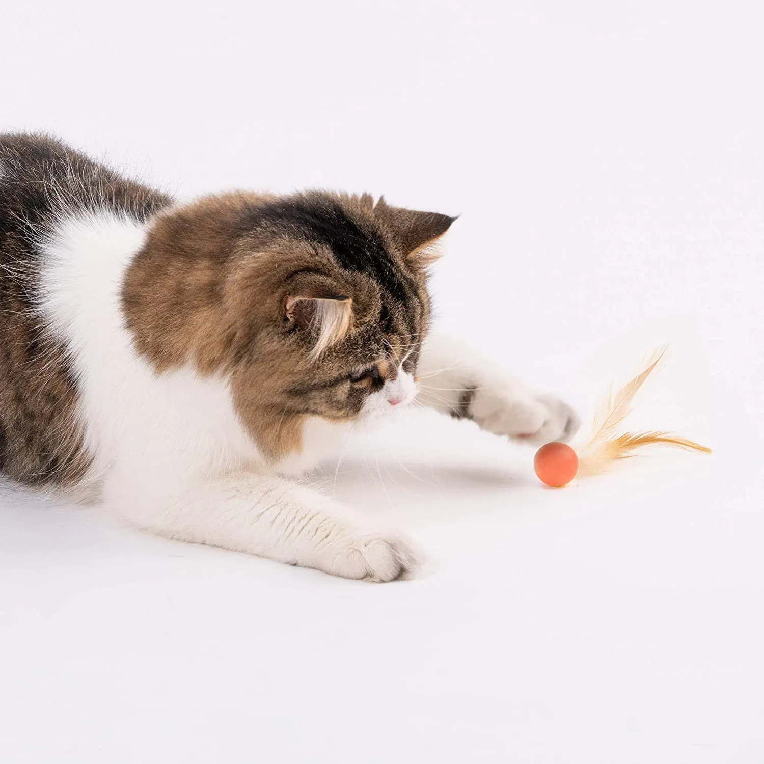 Pidan Cat Balls Toy with Feathers (3PCS)