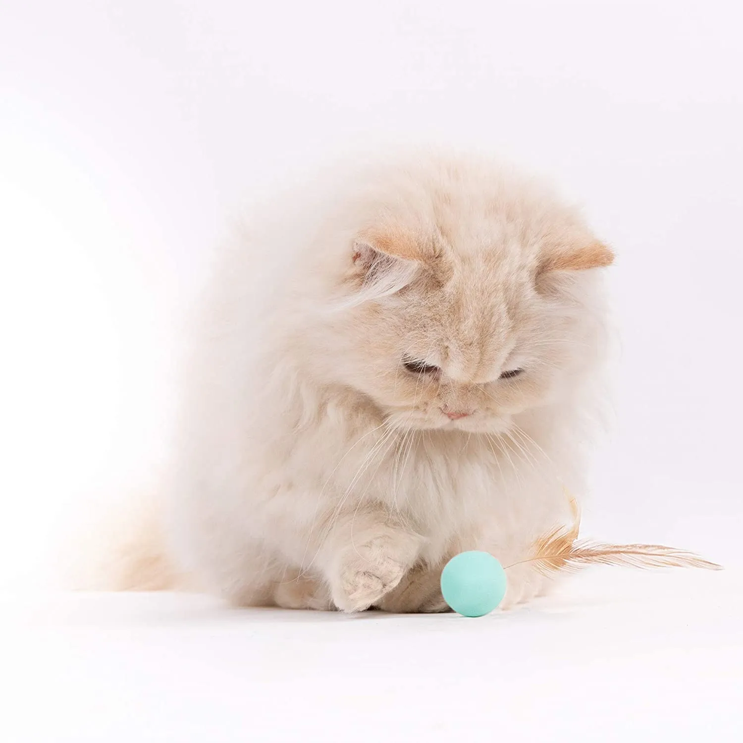 Pidan Cat Balls Toy with Feathers (3PCS)