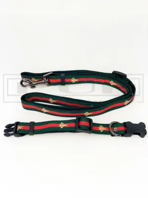 Pucci Bee Collar and Leash