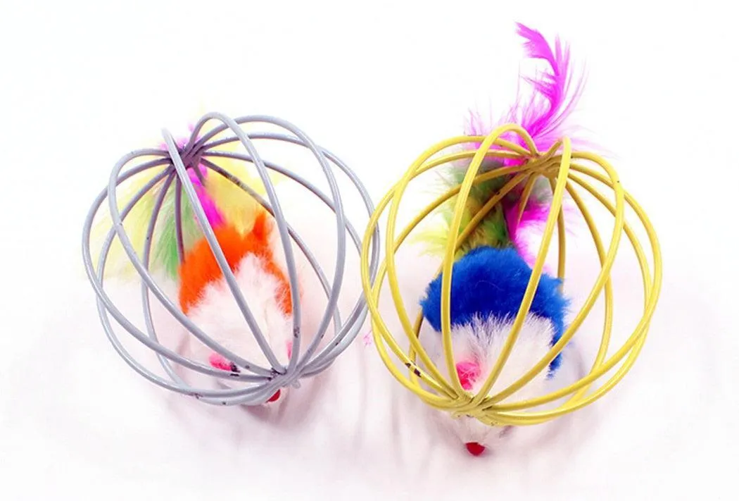 Random Chewy Cat Toys