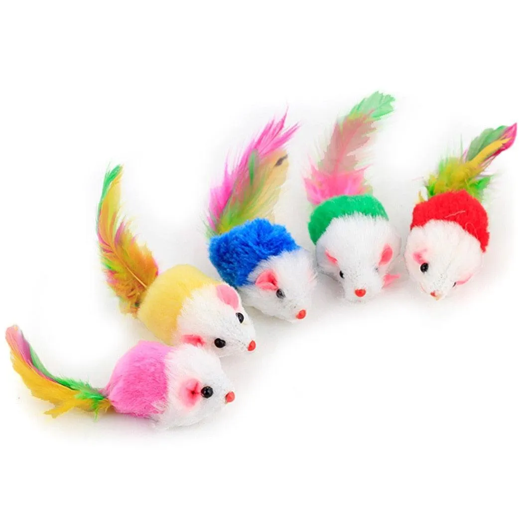 Random Chewy Cat Toys