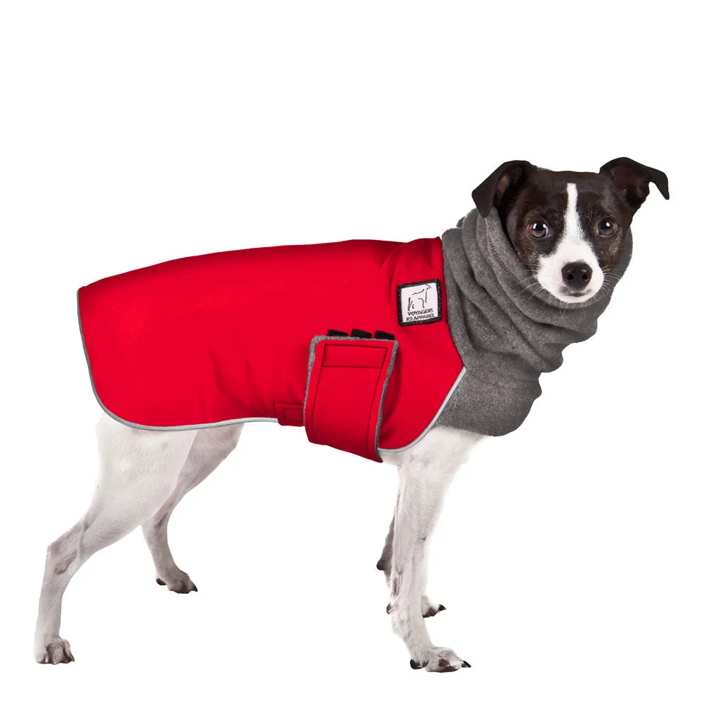 ReCoat ♻️ Rat Terrier Winter Coat