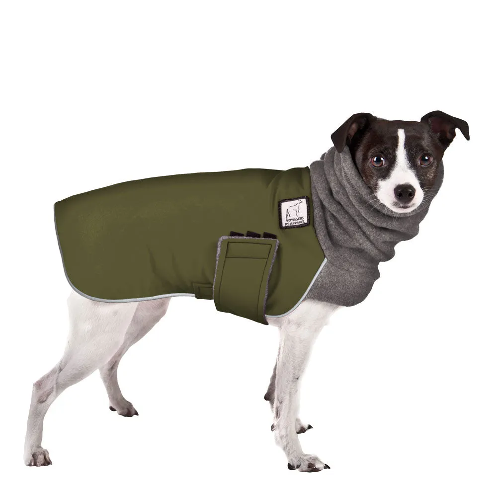 ReCoat ♻️ Rat Terrier Winter Coat
