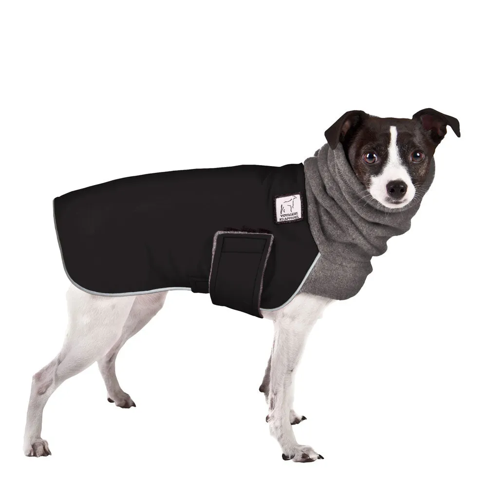 ReCoat ♻️ Rat Terrier Winter Coat