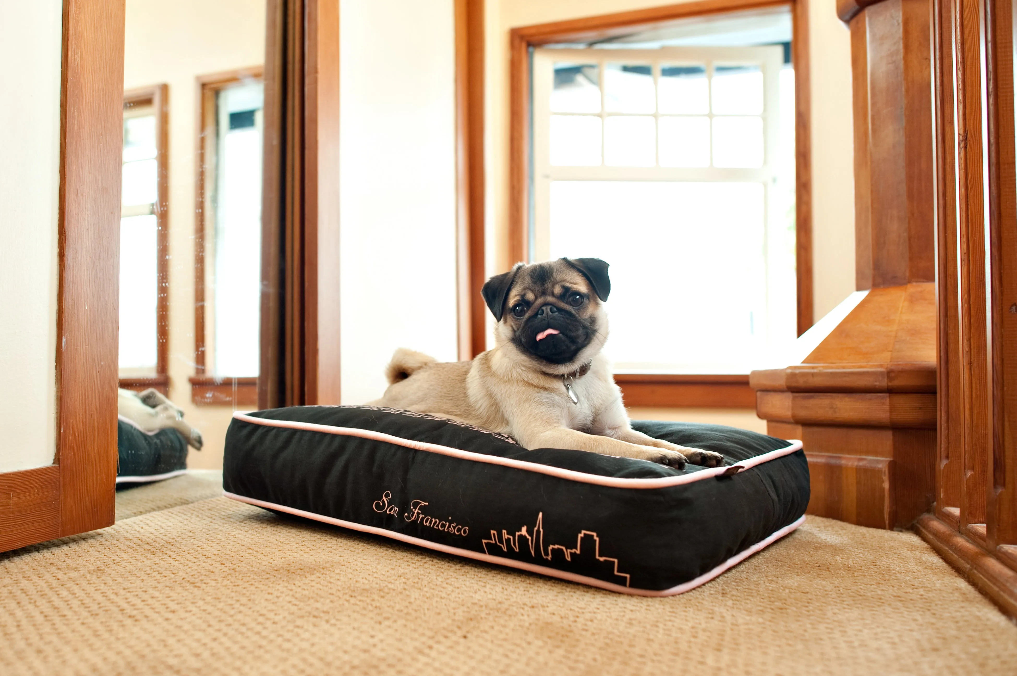 Rectangular Fill-a-Bed