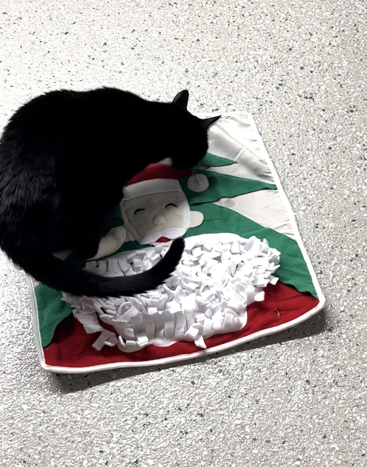 Santa Snuffle Mat, Toy & Feeder - SALE 50% OFF - LOW STOCK!!