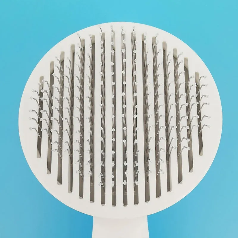 Self-Cleaning Brush for Dogs and Cats